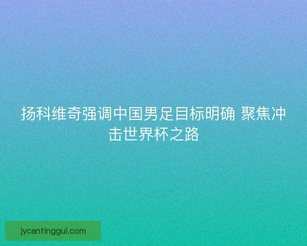 扬科维奇强调中国男足目标明确 聚焦冲击世界杯之路